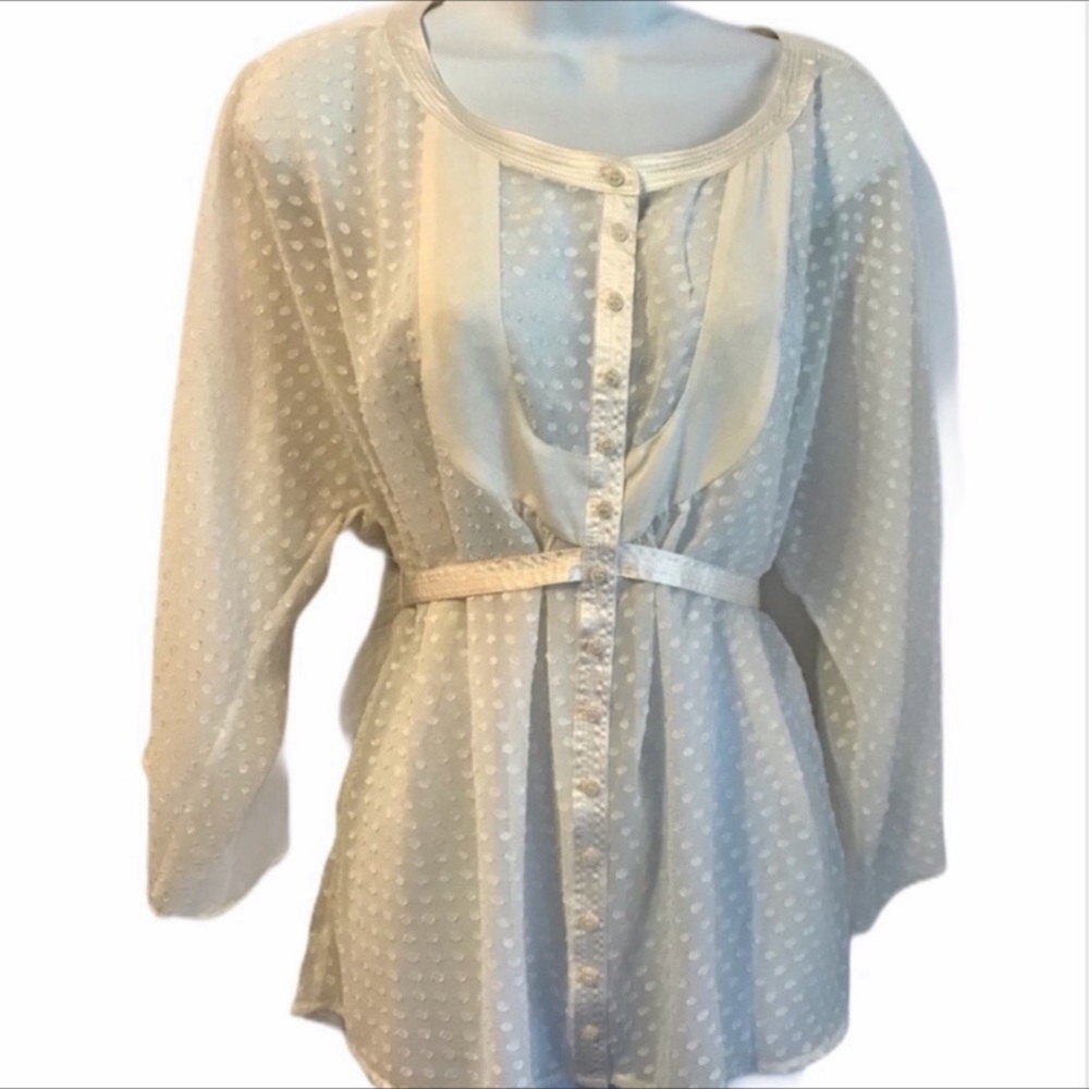 Apostrophe sheer clip dot top NWT